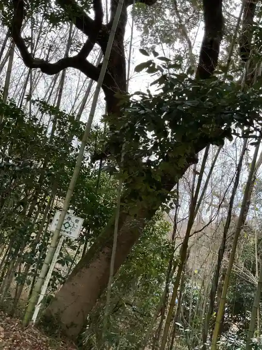 安祥寺(愛知県)