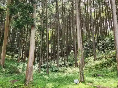 大歳神社の周辺