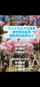 妙泉寺のお祭り(2024年03月08日(金) 15時46分27秒投稿)