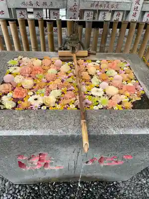 高円寺氷川神社(東京都)