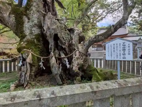大山祇神社(愛媛県)