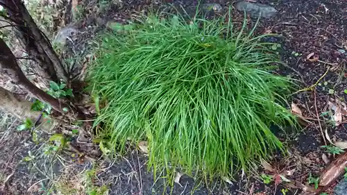山神社（富士岡）(静岡県)