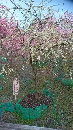 大縣神社の庭園