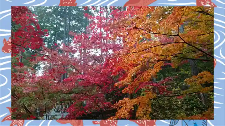 崇禅寺(群馬県)