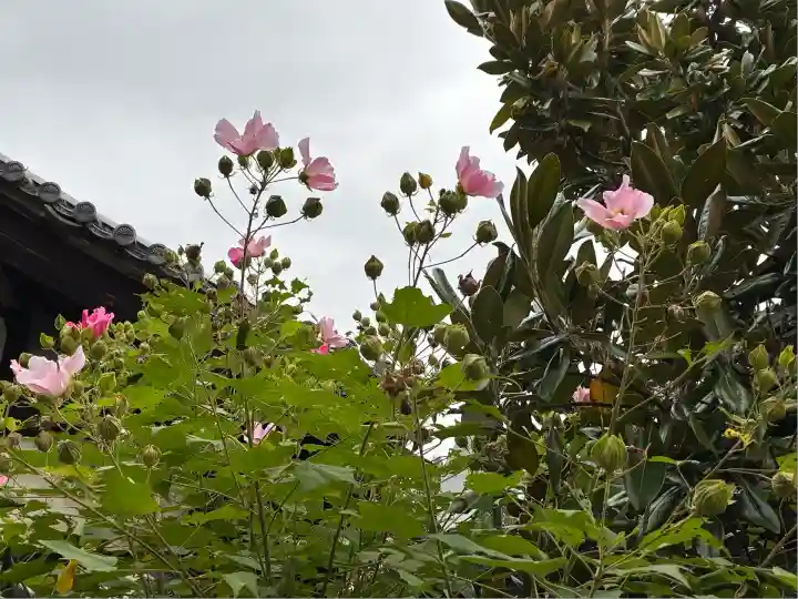 宝筐院(京都府)