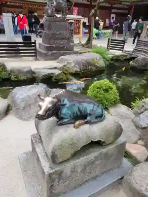 太宰府天満宮(福岡県)