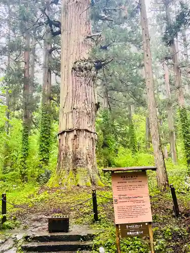 羽黒山五重塔(出羽三山神社)(山形県)