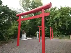 乙川龍神めのうづ社の鳥居