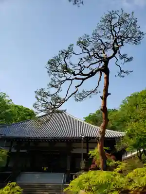 妙法寺の本殿・本堂