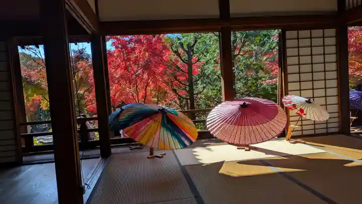 勝林寺(京都府)