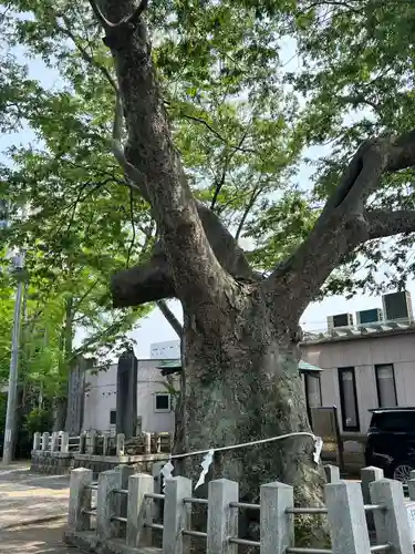 阿邪訶根神社の自然