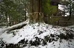 須佐神社の建物その他