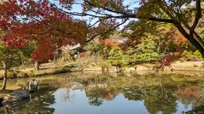 法金剛院(京都府)