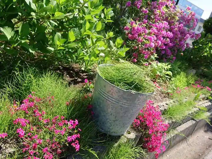 極楽山 浄土寺の自然