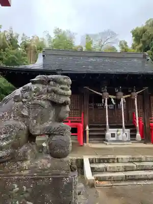 金井神社の狛犬