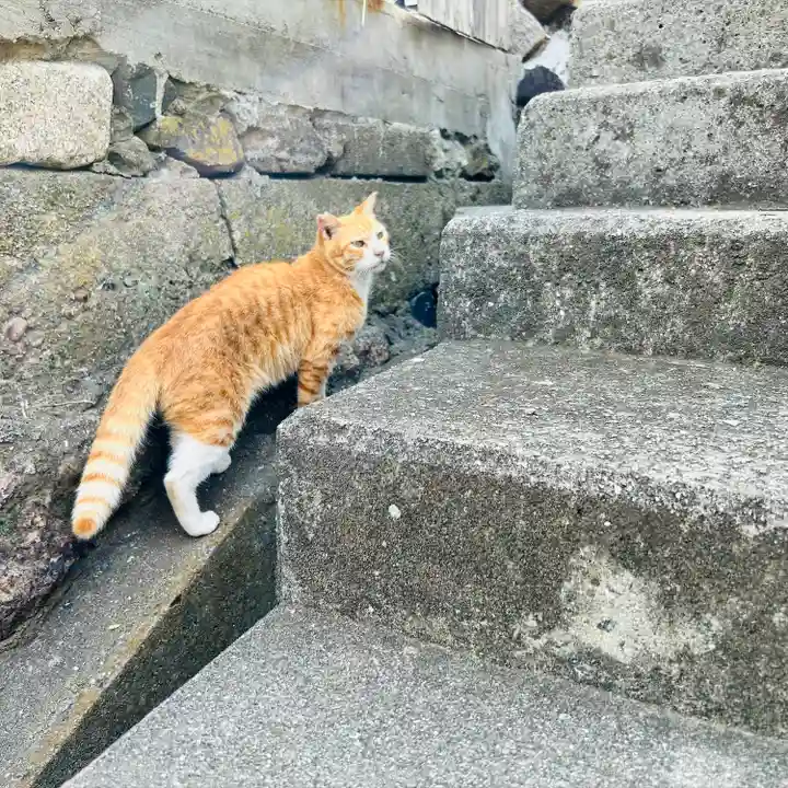 豊玉姫神社(香川県)