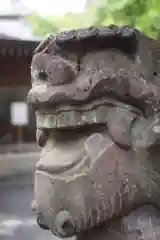 北野天神社の狛犬