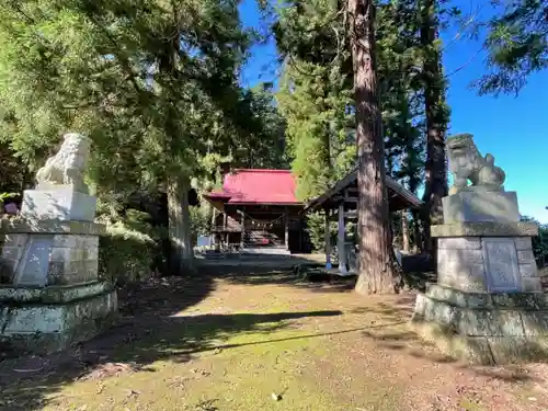 温泉神社の狛犬