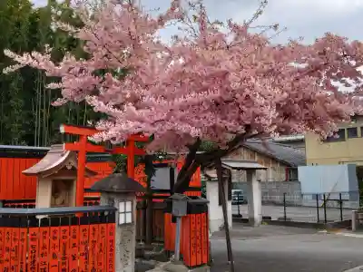 車折神社の{uncategorized: "未分類", other: "その他", undefined: "問題あり", building: "その他建物", grave: "お墓", sacred_gate: "鳥居", guardian: "狛犬", statue: "像", buddha: "仏像", history: "歴史", nature: "自然", garden: "庭園", animal: "動物", pagoda: "塔", temizu: "手水舎", mountain_gate: "山門・神門", sanctuary: "本殿・本堂", subordinate: "末社・摂社", art: "芸術", scenery: "景色", jizo: "地蔵", ema: "絵馬", goshuin: "御朱印", omikuji: "おみくじ", items: "授与品その他", amulet: "お守り", goshuincho: "御朱印帳", eats: "食事", festival: "お祭り", votive_dance: "神楽", shichigosan: "七五三参", wedding: "結婚式", experience: "体験その他", initially: "初詣", around: "周辺", anti_infection: "感染症対策"}