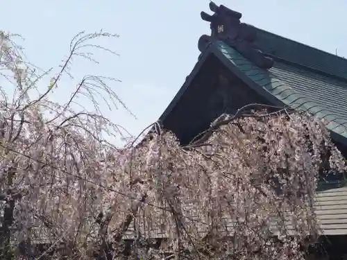 妙福寺(神奈川県)