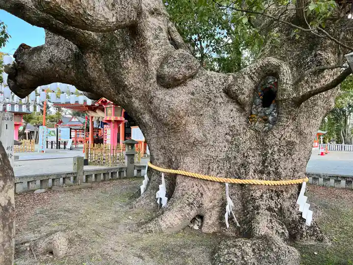 風浪宮(福岡県)