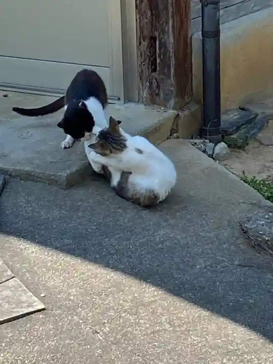 浄瑠璃寺の動物