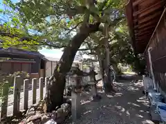 楢神社(奈良県)