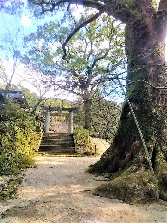 仁比山神社(佐賀県)