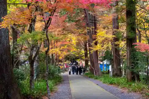 大矢田神社(岐阜県)