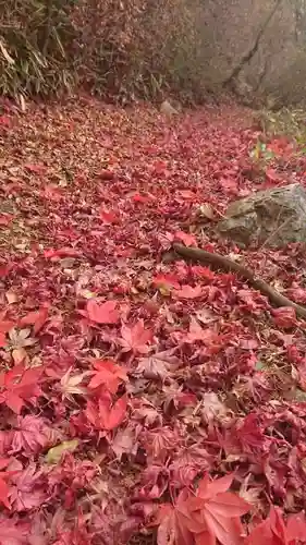 水使神社の自然