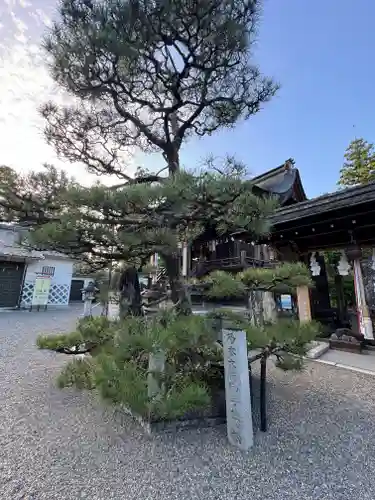 沙沙貴神社のその他建物