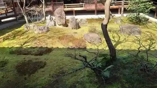 建仁寺（建仁禅寺）の庭園