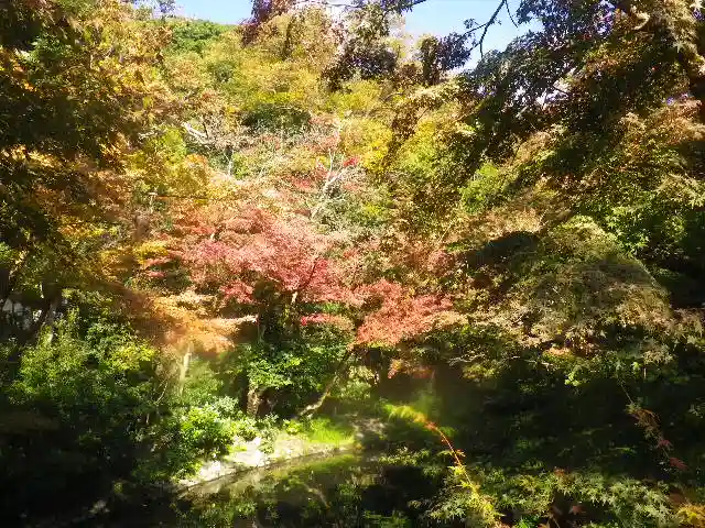 鶴岡八幡宮の自然