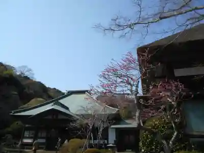 海蔵寺のその他建物