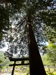 北野神社(長野県)