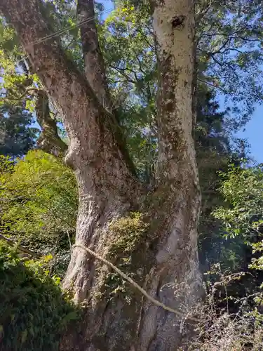 引作神社(三重県)