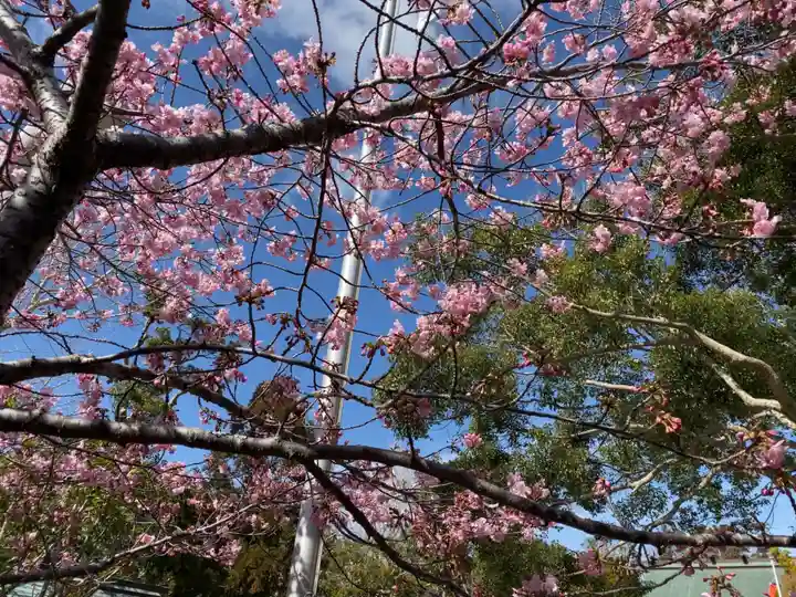 天津神明宮の自然