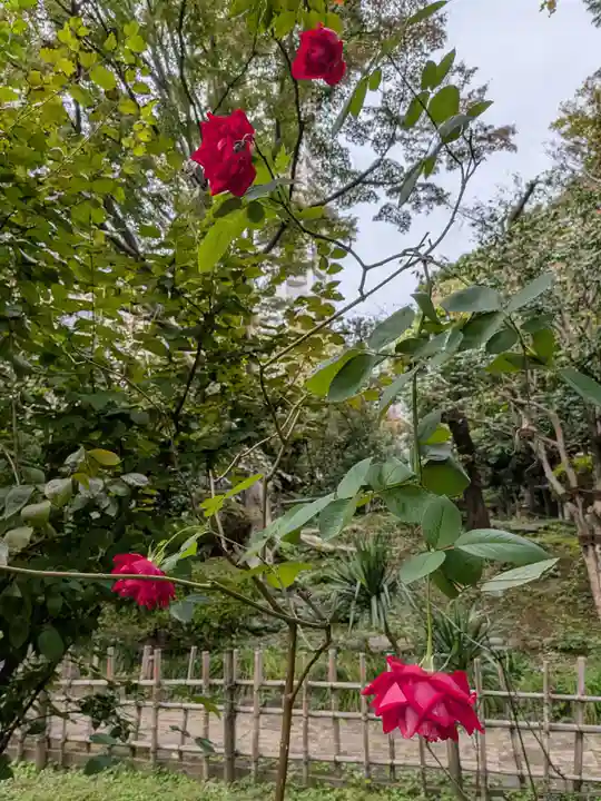 乃木神社(東京都)