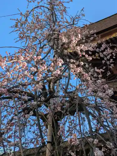 湯島天満宮(東京都)
