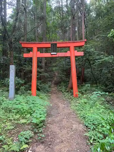 大縣神社の鳥居