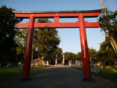 北海道護國神社の鳥居