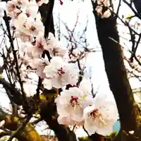七重浜海津見神社(北海道)