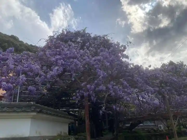 神光寺(徳島県)