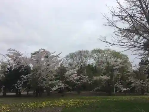 砂川神社の自然