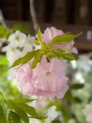 赤坂氷川神社(東京都)