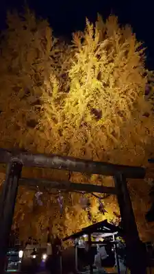 丹生酒殿神社の鳥居