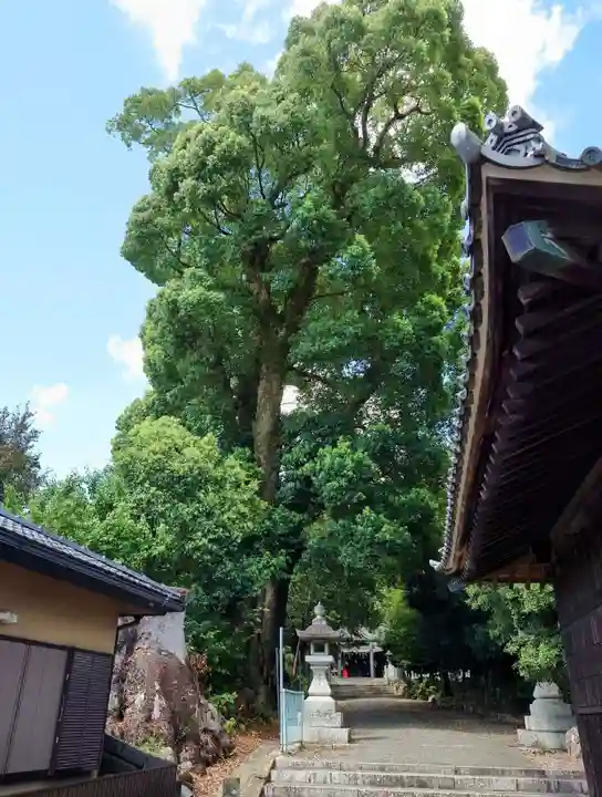 細江神社(静岡県)
