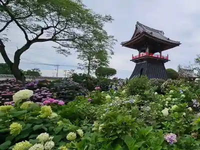 能護寺(埼玉県)