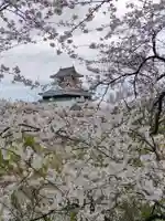 織田信長公社の周辺