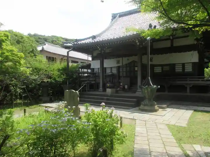 安國論寺(安国論寺)の本殿・本堂